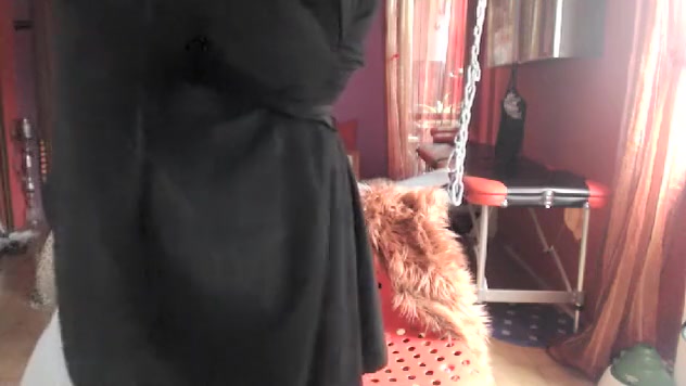 STEFY TRANS