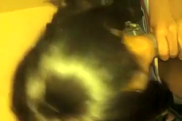 Best homemade shemale video with Blowjob, Black scenes