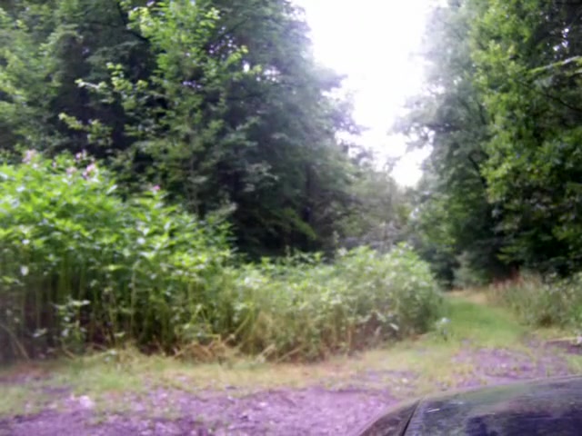 Horny amateur shemale clip with Masturbation, Outdoor scenes