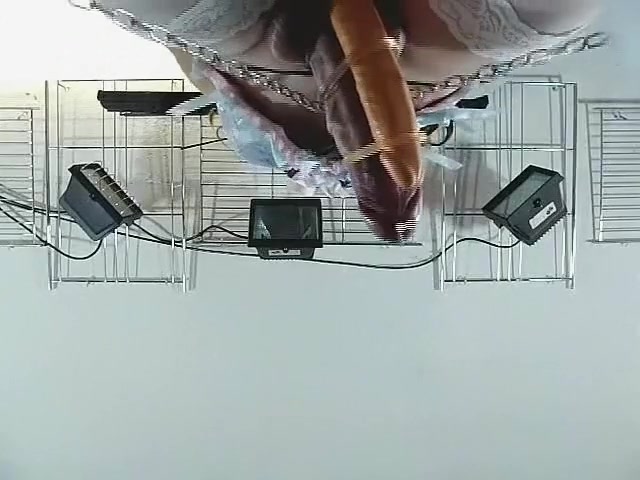Fabulous amateur shemale video with Fetish, Compilation scenes