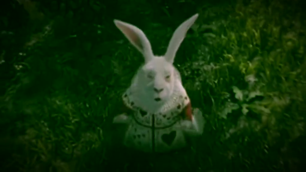 Possession of the rabbit
