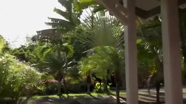 Exotic amateur shemale scene with Masturbation, Solo scenes