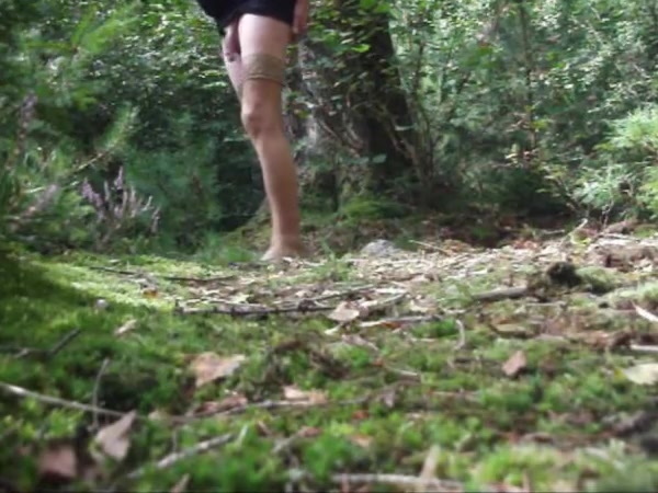 Im wald 3