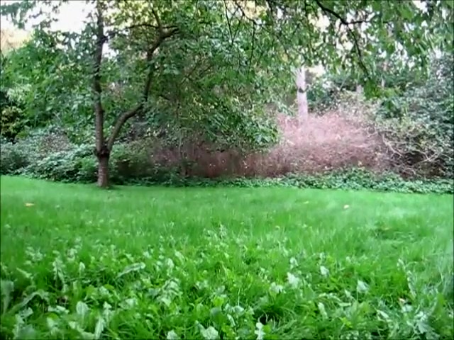 Amazing amateur shemale video with Solo, Blonde scenes