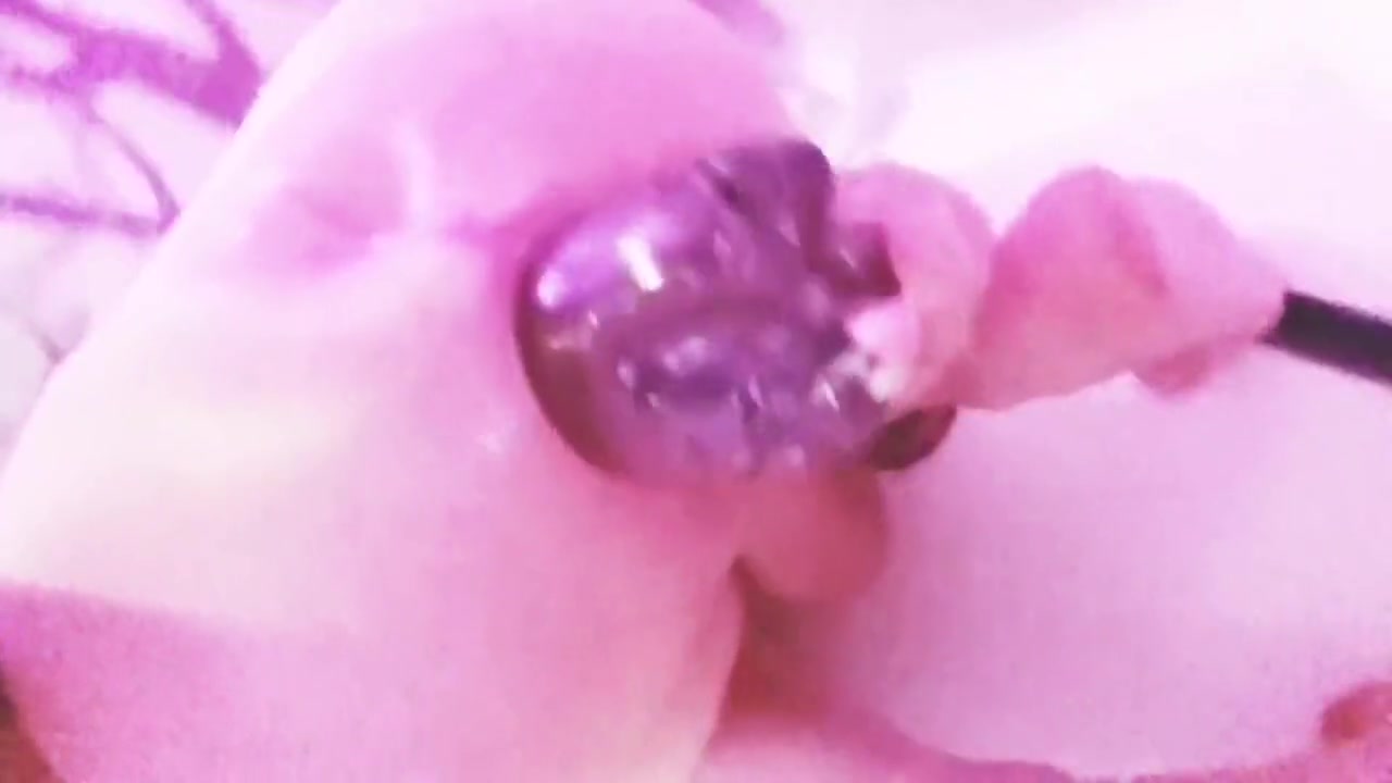Sissy Emo Boy Tiffany Ciskiss Bare Ass Big Anal Ass Pussy