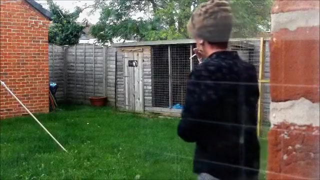 Fabulous amateur shemale movie with Outdoor scenes