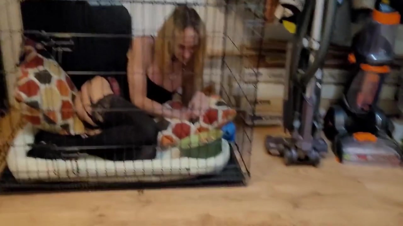 Crystal In The Crate Woof!