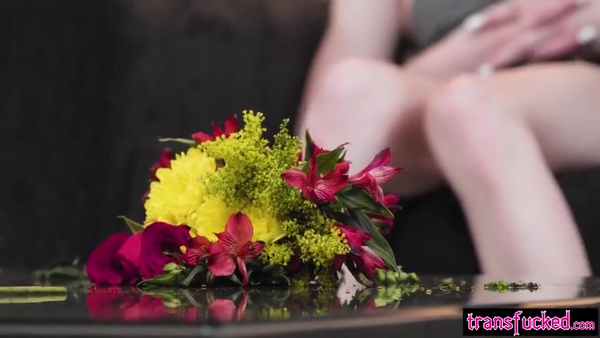 Horny Shemale Banged Tight Flower After Tranny Enjoyed Blowjob - Aiden Ashley And Erica Cherry