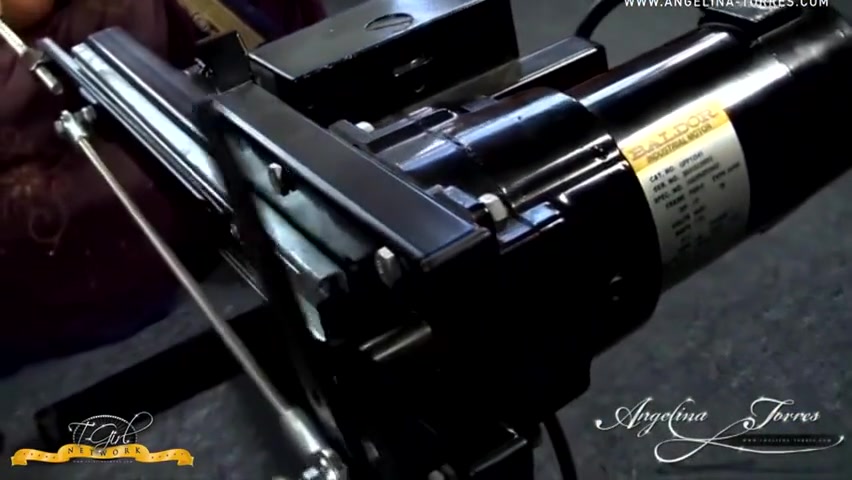 Angelina Torres In Angelina And The Fuck Machine