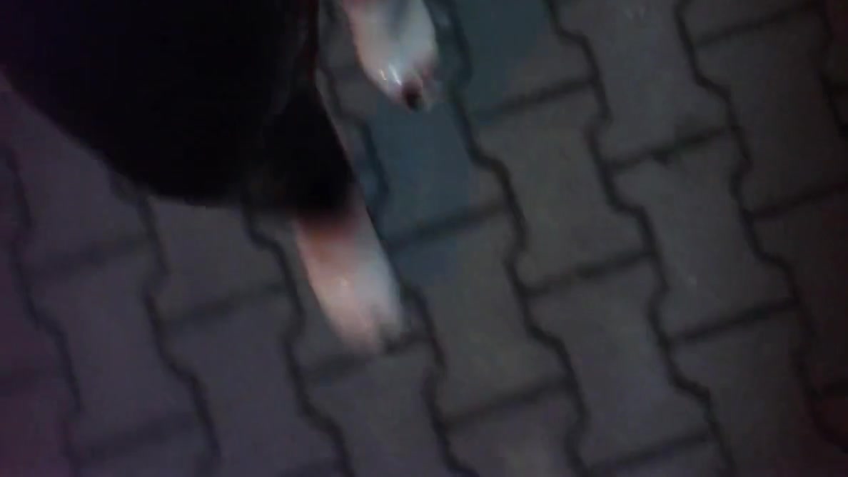 Sexy Mules