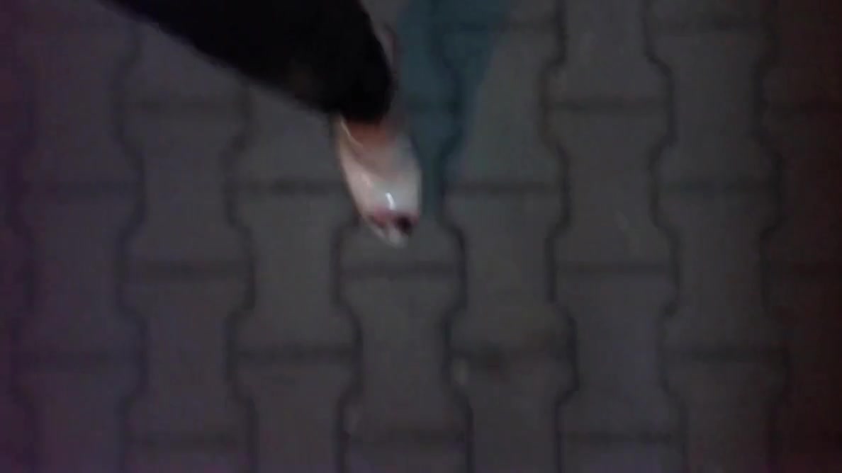 Sexy Mules