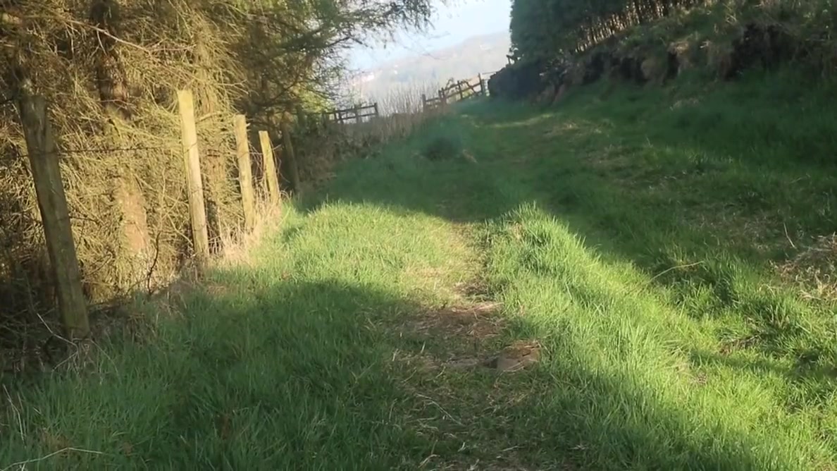 Crossdressing On A Woodland Path