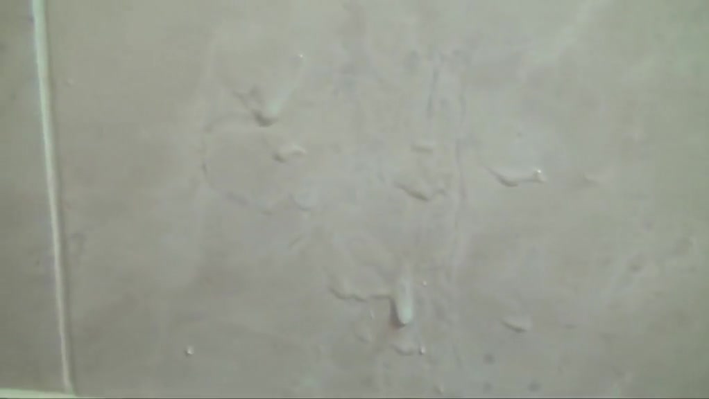Crazy amateur shemale clip with Amateur scenes