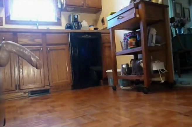 Hottest homemade shemale clip with Dildos/Toys, Solo scenes
