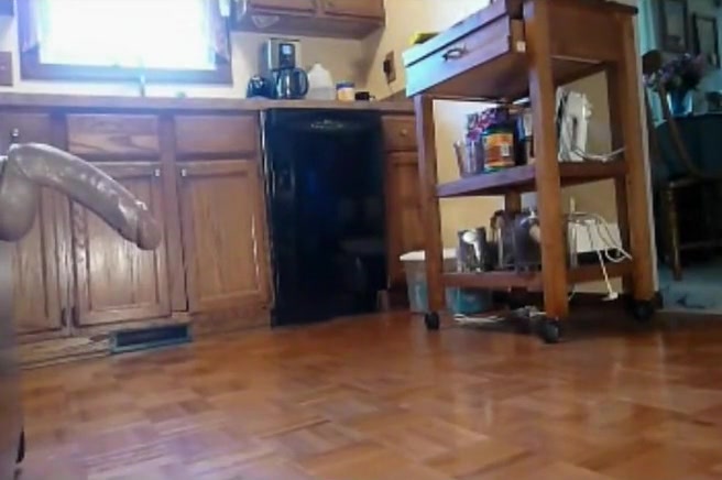 Hottest homemade shemale clip with Dildos/Toys, Solo scenes