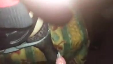 Best amateur shemale clip with Blowjob, Stockings scenes