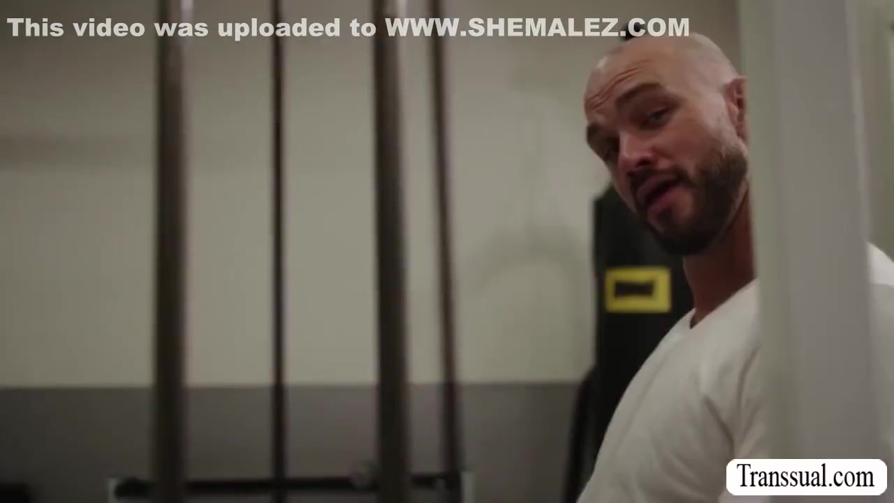 Horny Dude Barebacks Busty Shemales Ass
