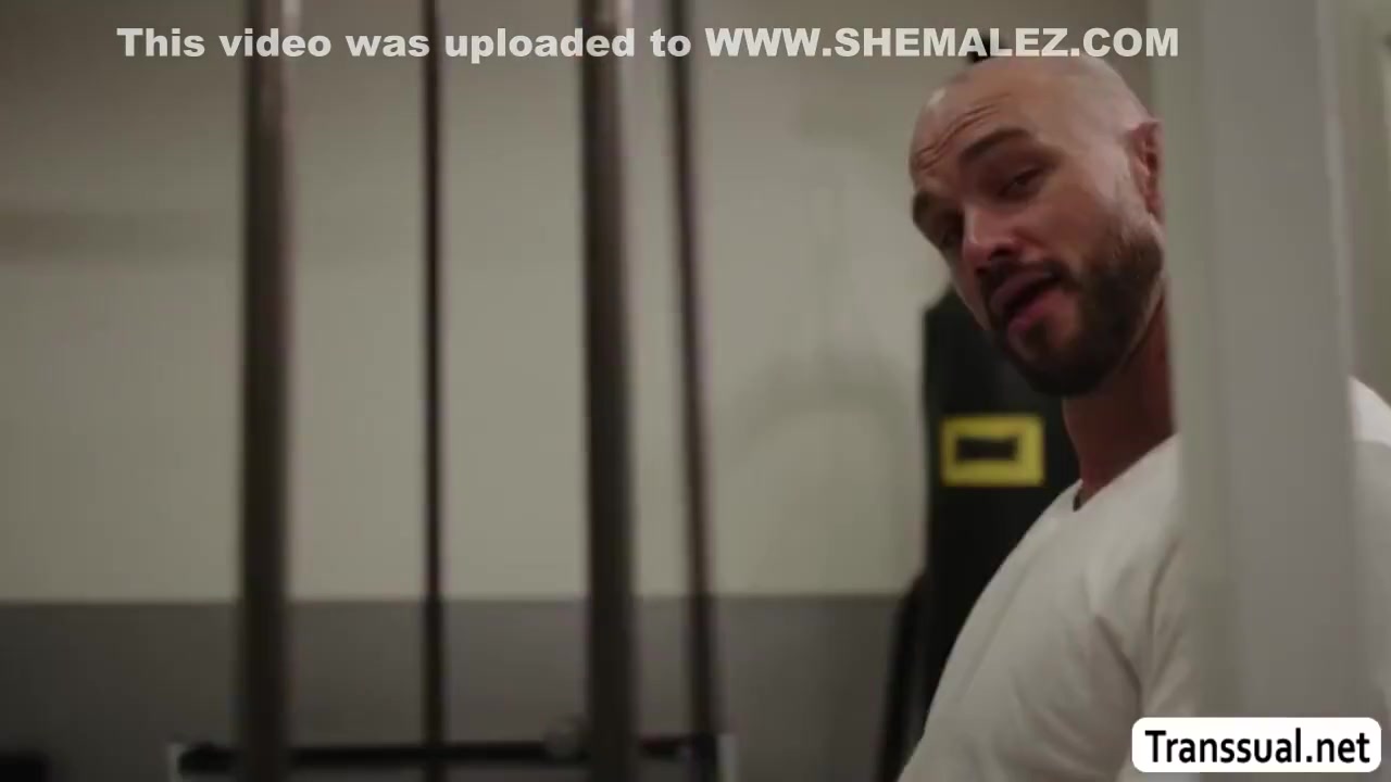 Perv Dude Barebacks Busty Shemales Ass