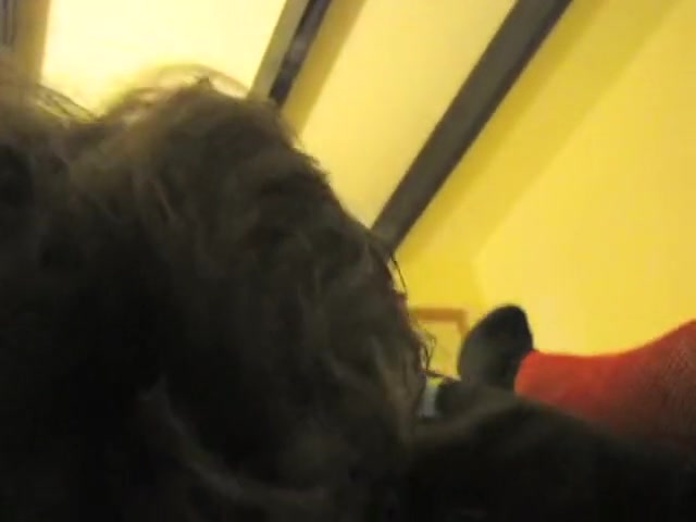 Amazing homemade shemale clip with POV scenes