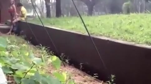 Fabulous amateur shemale clip with Outdoor scenes