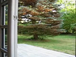 Fabulous amateur shemale video with Outdoor, Stockings scenes