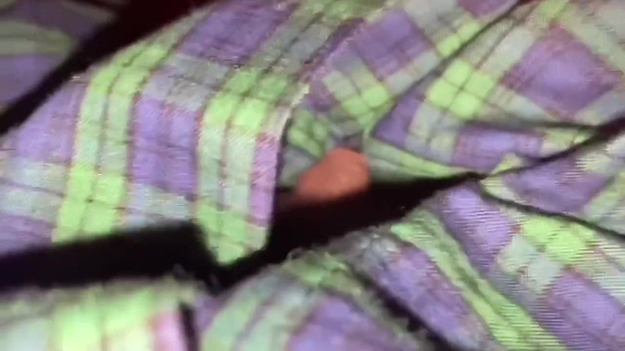 Whats In My Pants?