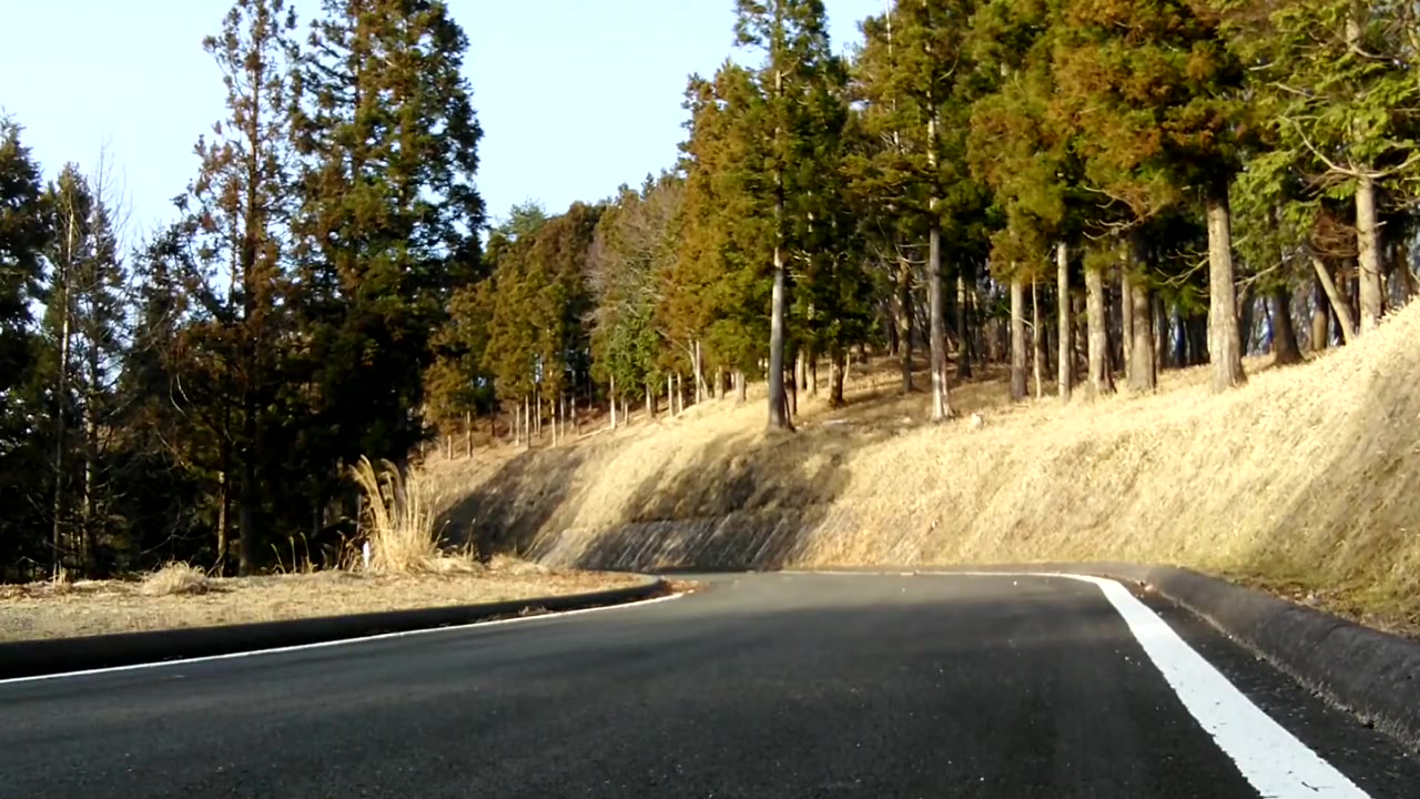 I Was Found Exposed Masturbating Ejaculating In The Middle Of The Road