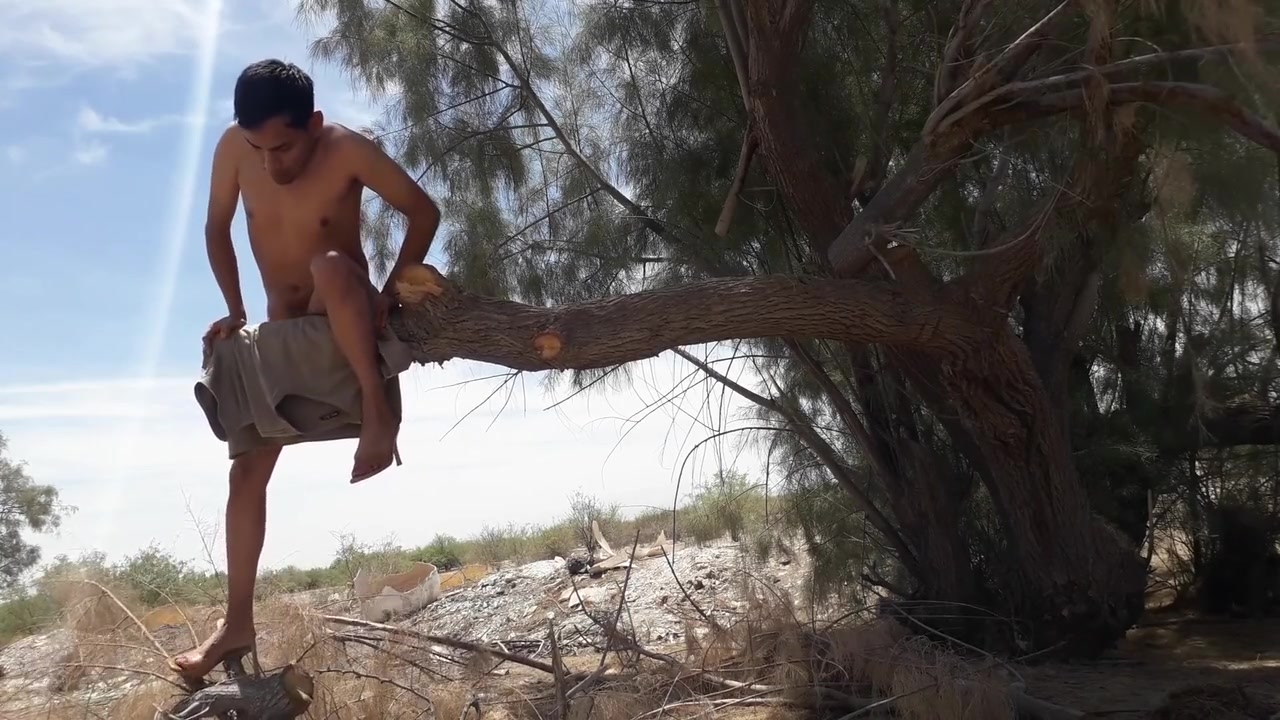 Sexy Shemale Likes To Ride Thick Bare Trunk In Heels