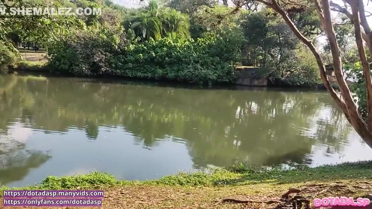 Huge Trans Cock Cum And Pee In Public In The Park