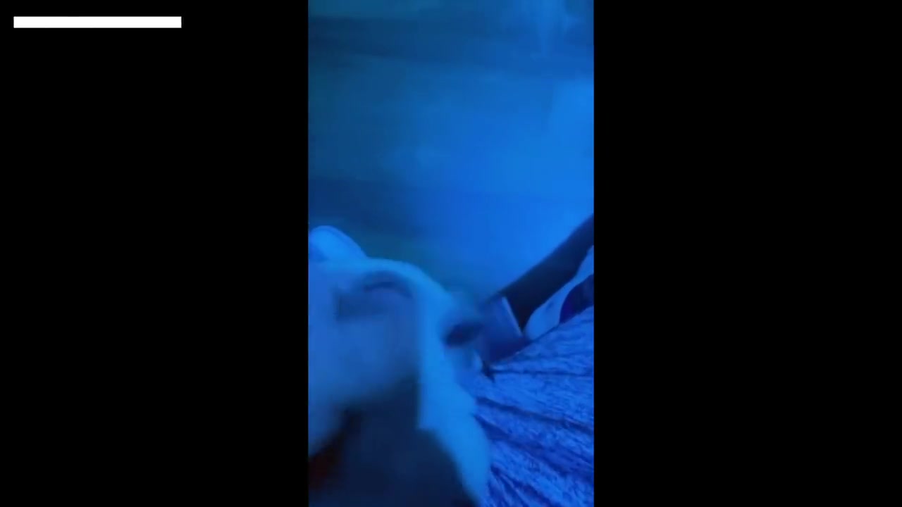 Vlog Ep01 - Day By Day, Blowjob, Handjob, Anal And Creampie - Full Video On Of/emmaink13