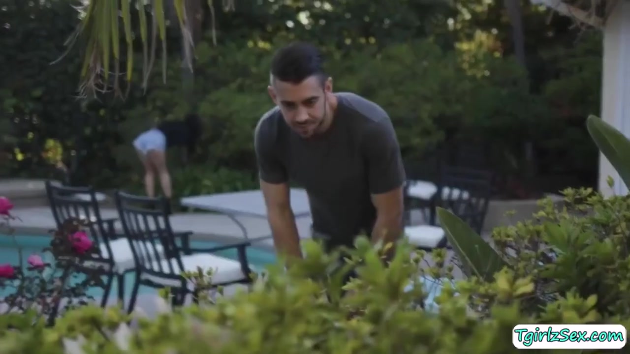 And More, Dante Colle And Khloe Kay - Transsexual Blowjobs Hunk Neighbors Cock