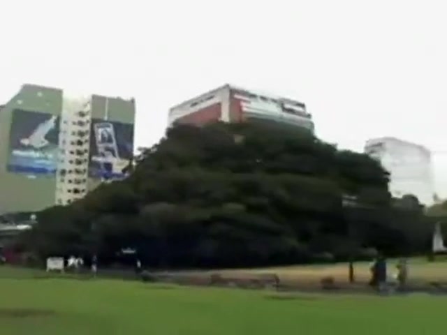 El Corte de Cabello