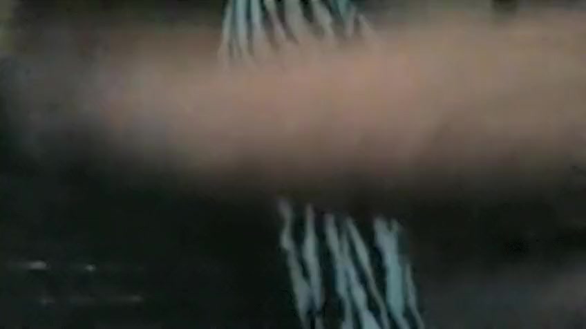 Hung Tgirl Pounds Female
