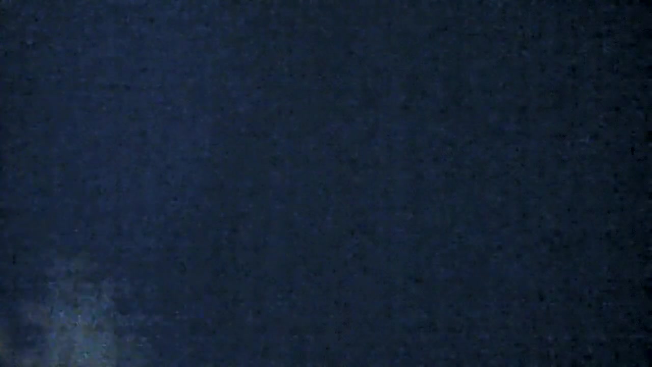 liz sucking black cock