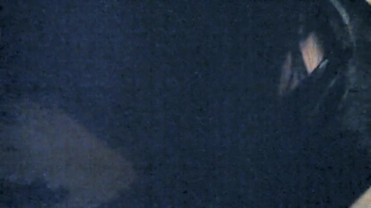liz sucking black cock