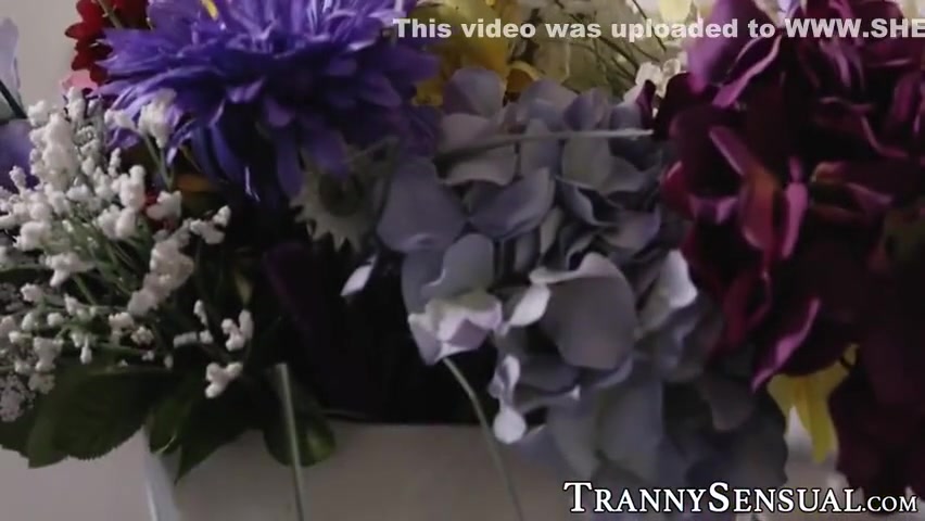 Marissa Minx In Busty Tranny Analled Vigorously By Swinger