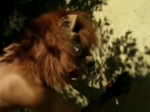 Transsexual Fucker Gets His Cock Sucked And His Asshole Licked And Banged