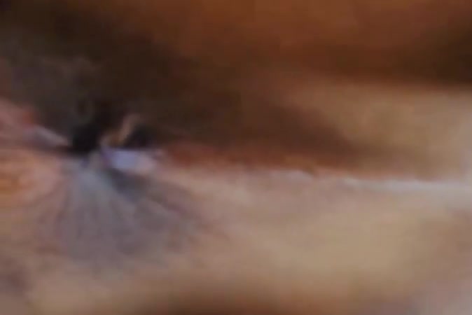 Sweet couple shemale love anal sex