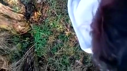 Magyar videki par