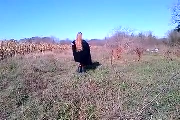 sunshine harvest enjoyment
