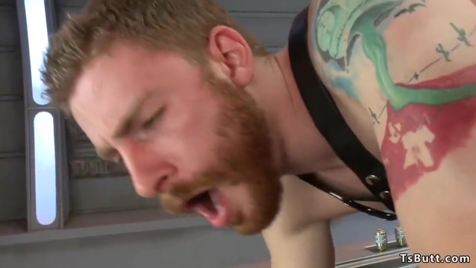 Sebastian Keys In Large-bosomed Black Shemale Bangs Male Slave