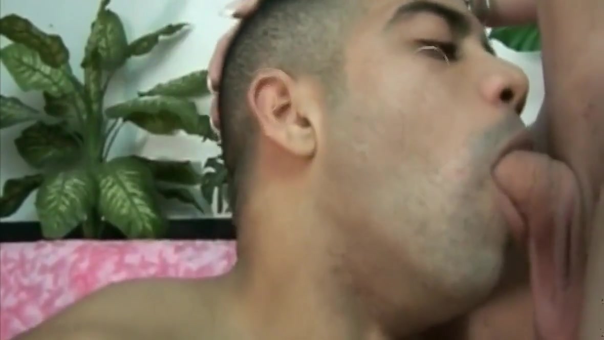 The Best - Trans Lover