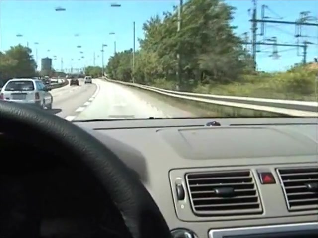 Swedish shemale escort