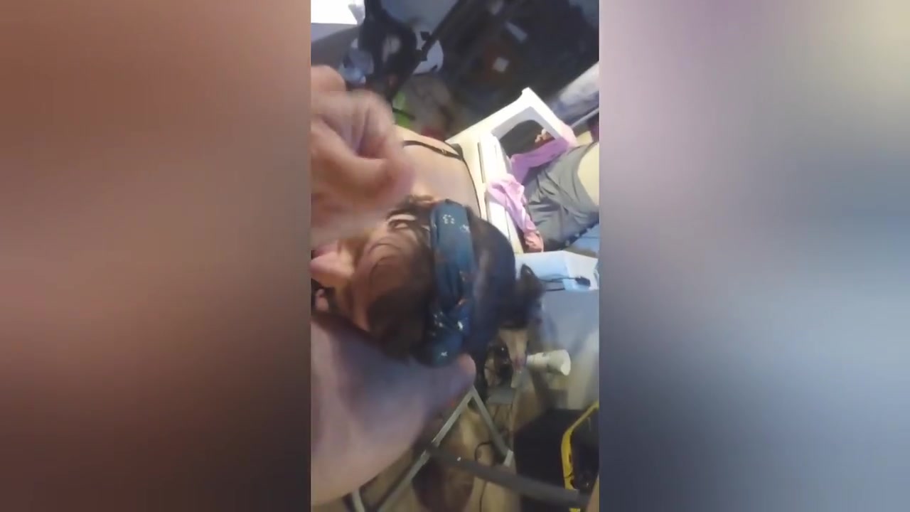 Amatuer Trans Cutey Loves Sucking Dick