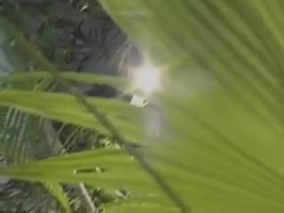 Ren4ta Bella with sound