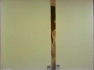 Mature ts fucks her maid