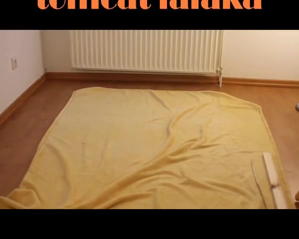 Tomcat falaka bastinado