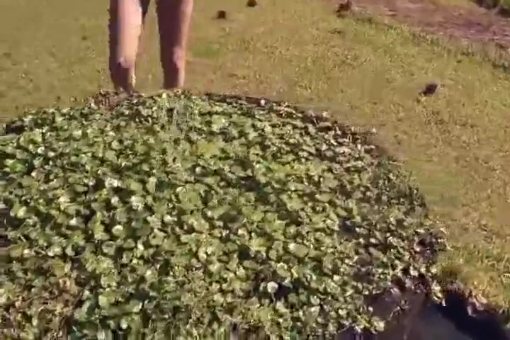 Kalena fucks on the grass