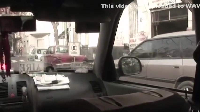 Gorgeous Brunette Shemale Gets A Blowjob From A Dude In A Car