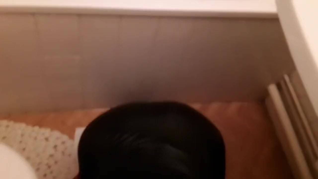 Sissy swallows